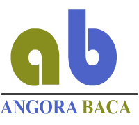 Angora Baca Temizleme logosu